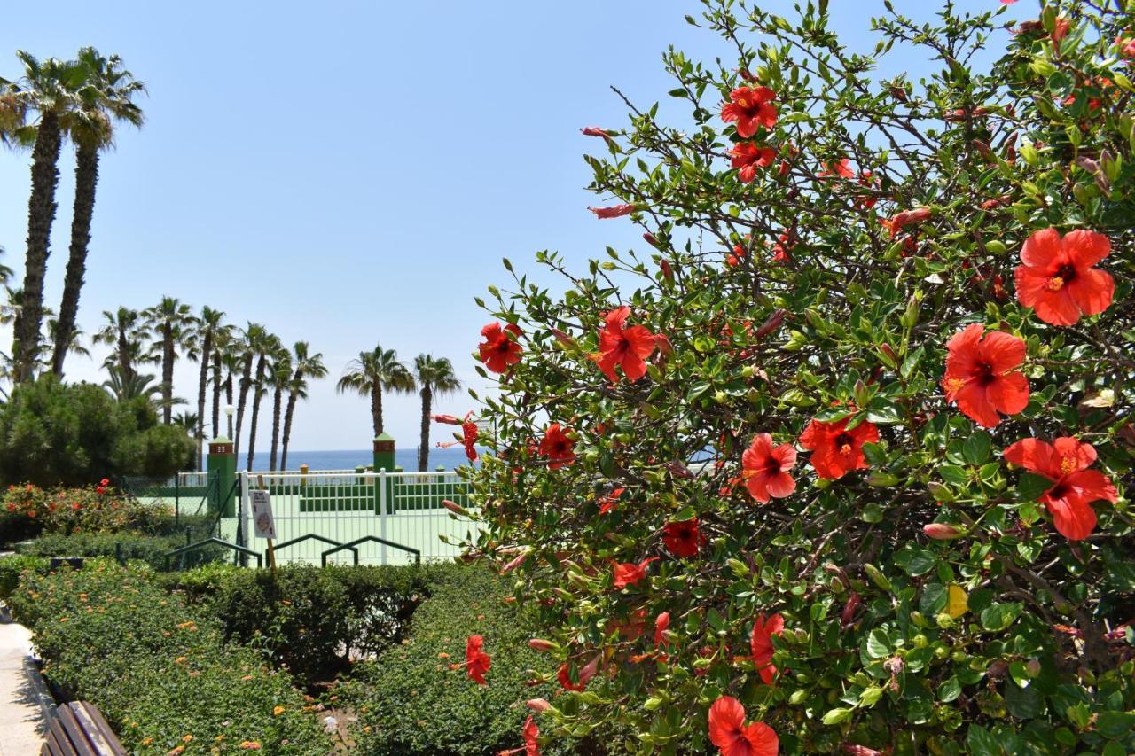 Fantastic Studio - Beachfront Leilighet Torrox Eksteriør bilde